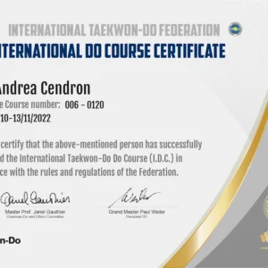 Diploma_International_Do_ Seminar
