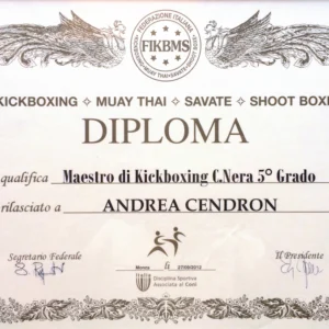 Diploma_Maestro_Kickboxing